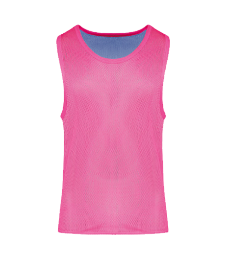Trainingshesje Roze-Paars